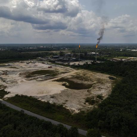 As Royal Dutch Shell’s shareholders meet in The Hague for their annual general meeting, new analysis by ActionAid International exposes the fossil fuel giant’s net zero climate plans to keep polluting while planting vast tree plantations likely to drive land grabs in the Global South.